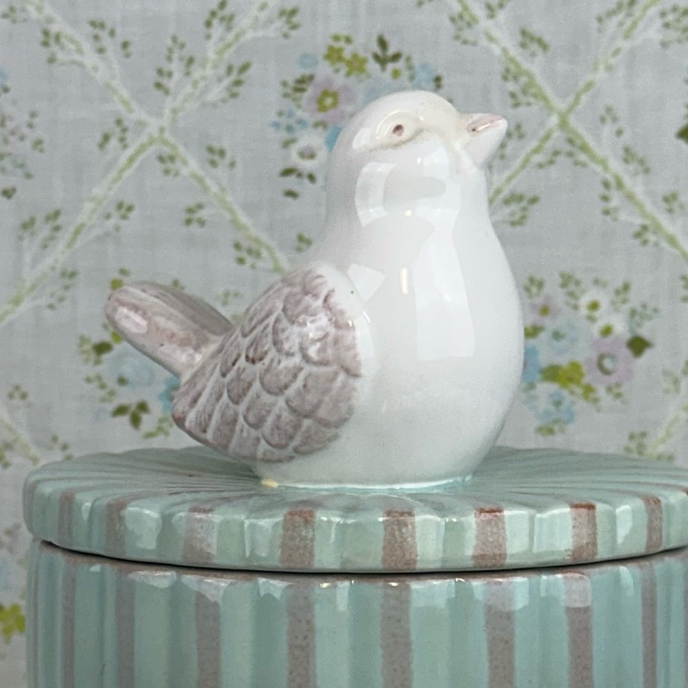 Discontinued Pier 1 Striped Robins Egg Blue White & Tan Bird Trinket/Candy Dish - Picture 6 of 8